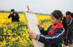 河南开封尉氏县摄影家协会：用美丽光影记录“菊花”蜕变“致富花”